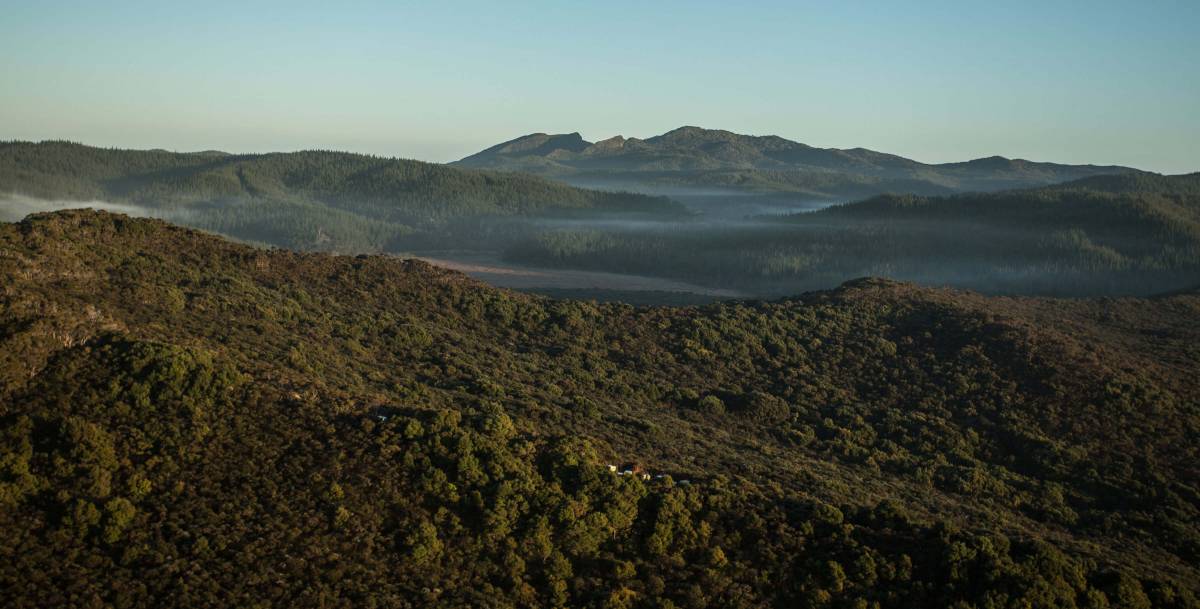 True Honey dots its hives in hard-to-reach wilderness